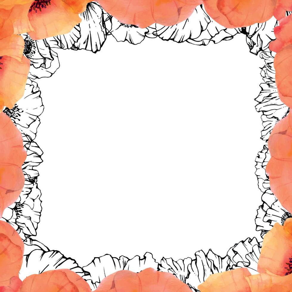 Hand drawn watercolor botanical illustration flowers leaves. Red poppy papaver, stems buds seedpods. Border frame isolated on white background. Design wedding, love cards, remembrance day stationery vector