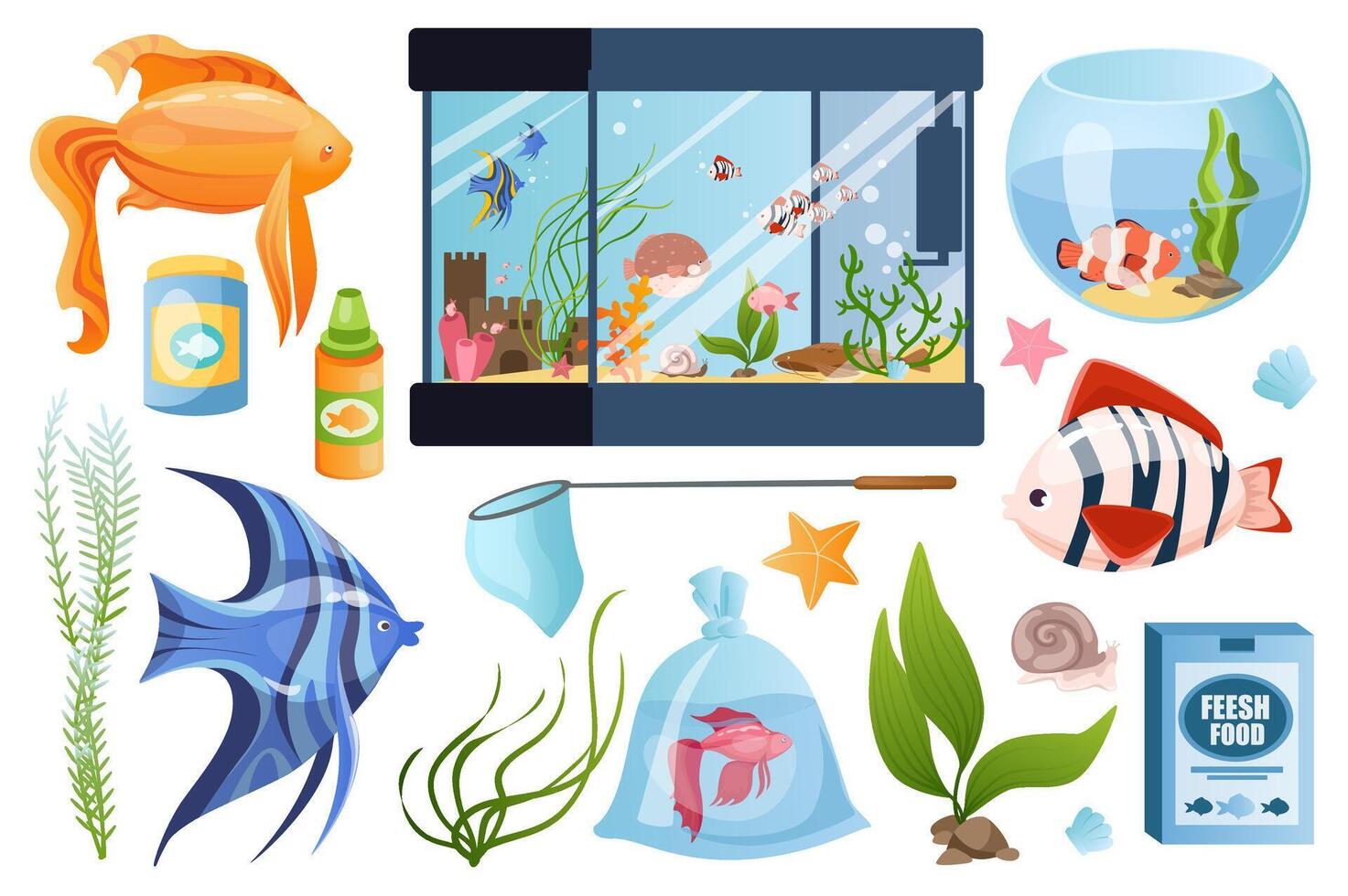 Aquarium set graphic elements in flat design. Bundle of exotic or tropical fishes, differents fishbowls, net, algae plant, snail, fish food and other accessories. Vector illustration isolated objects