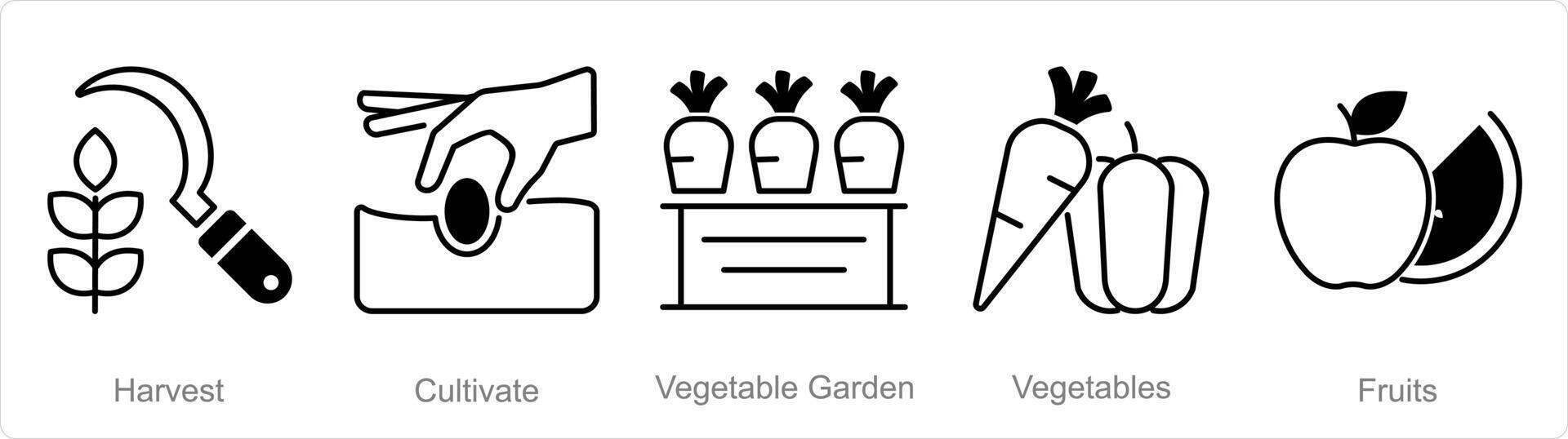 A set of 5 Organic Farming icons as harvest, cultivate, vegetable garden vector