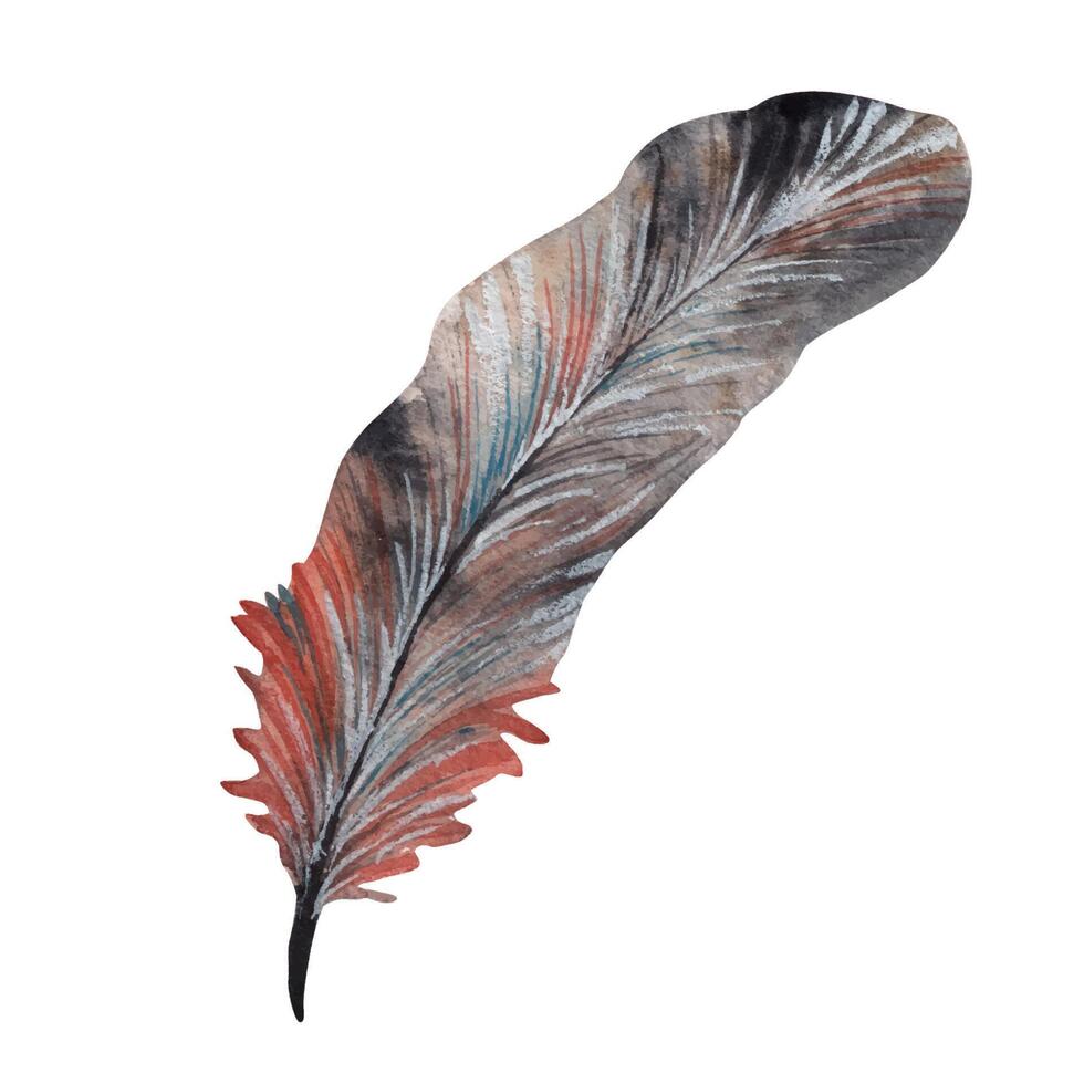 Gray feather isolated on white background. Watercolor illustration vector