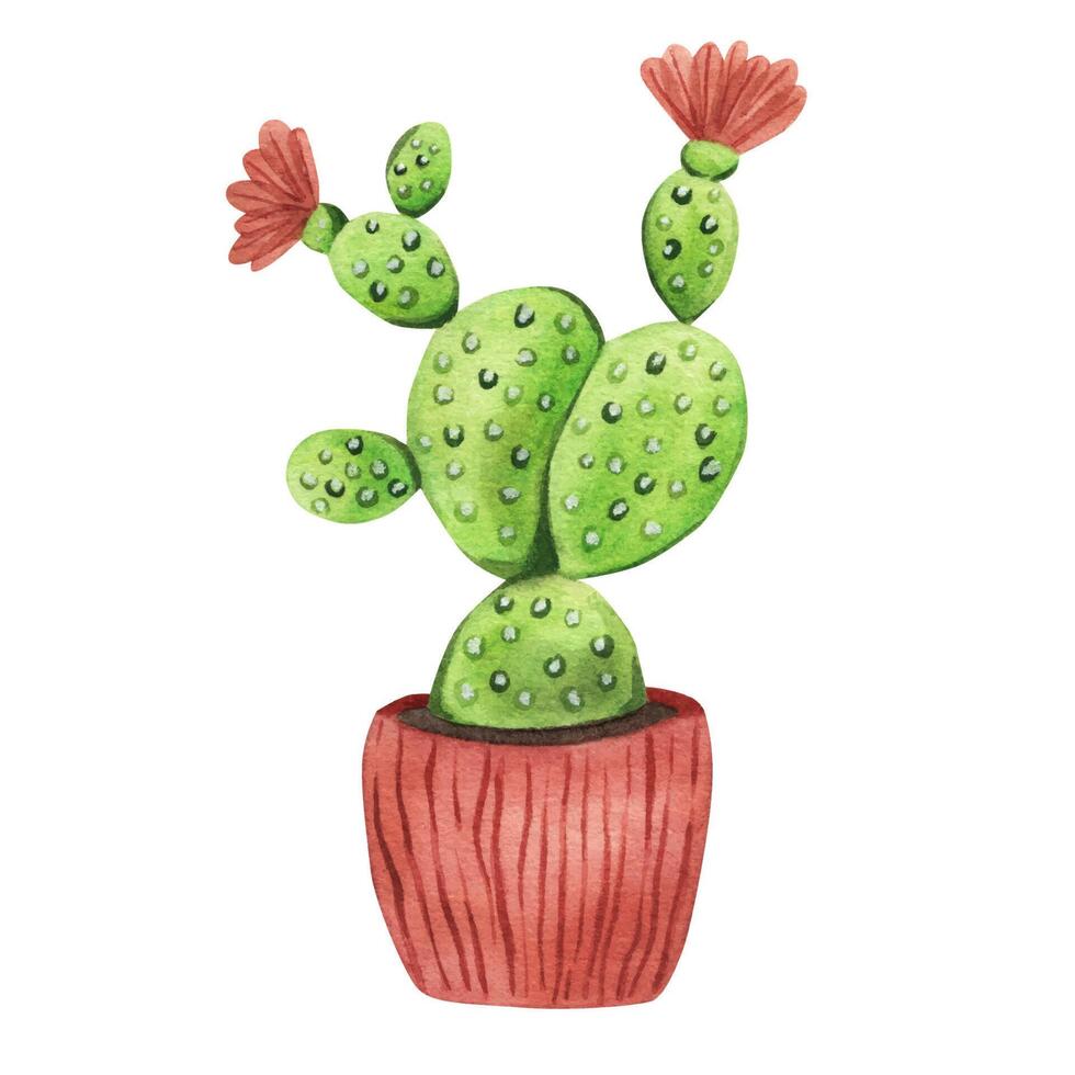 Prickly pear flower in a pot isolated on white background. Watercolor illustration vector