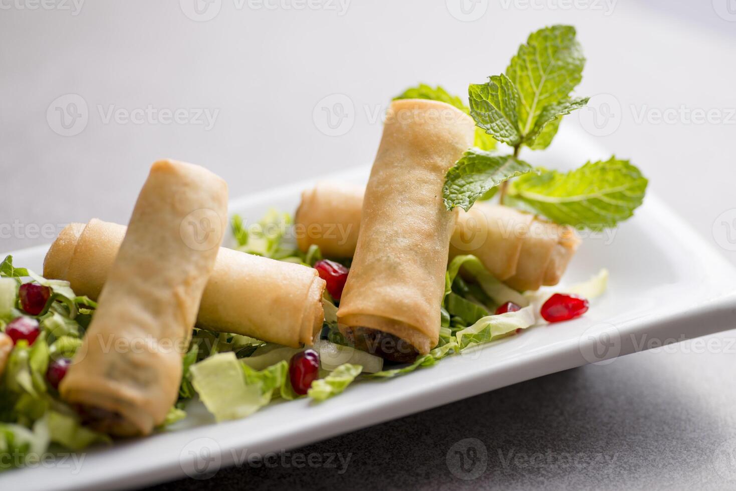 rakakot spring roll served in dish isolated on grey background top view of arabic food photo