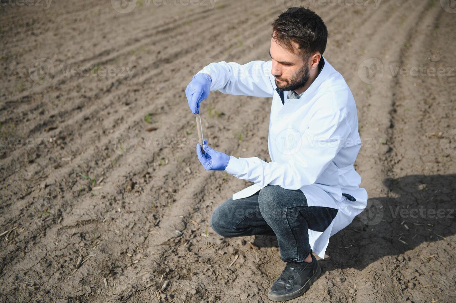 Agronomist studying samples of soil in field photo