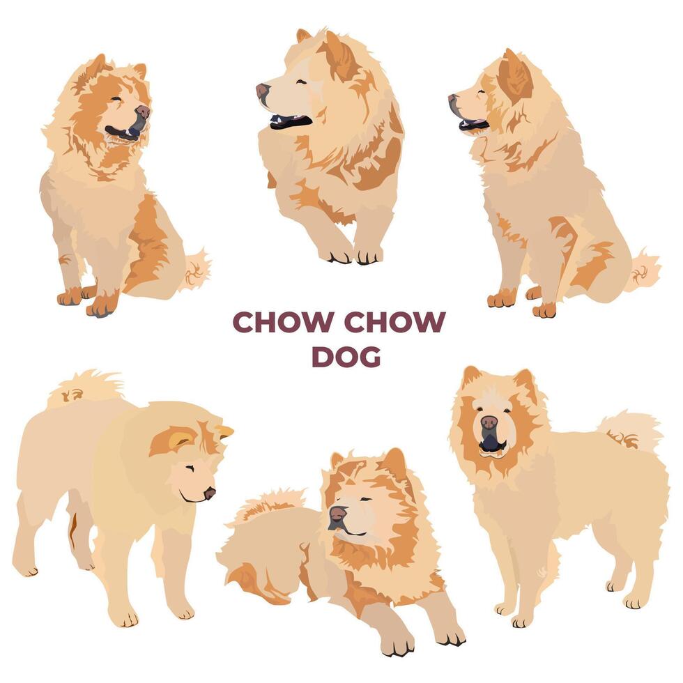 Cream Chow Chow Dog Breed Set vector