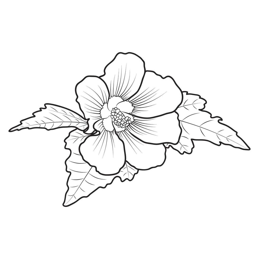 Outline Hardy Hibiscus Syriacus 42623279 Vector Art at Vecteezy