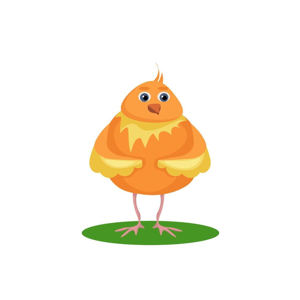 Little yellow chicken on a white background. Character design. Vector illustration in cartoon style.