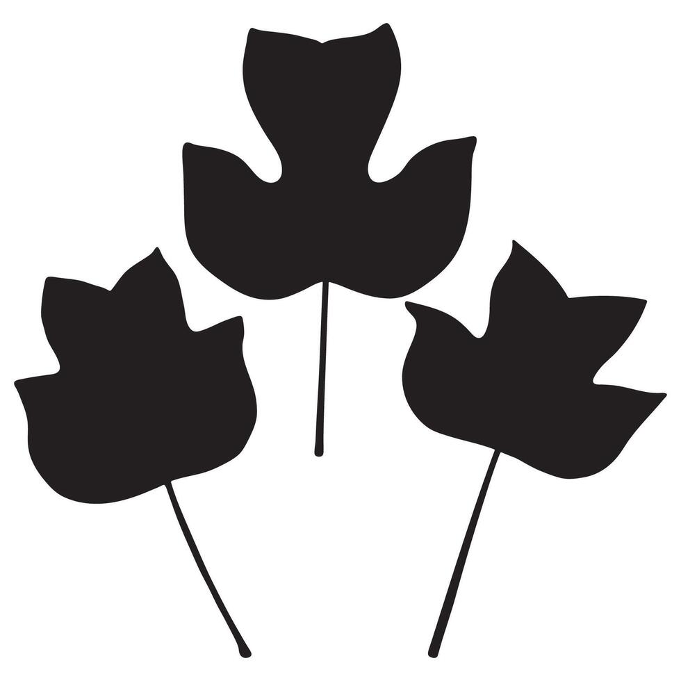 Tulip Poplar or Liriodendron Tulipifera Leaf Silhouettes vector