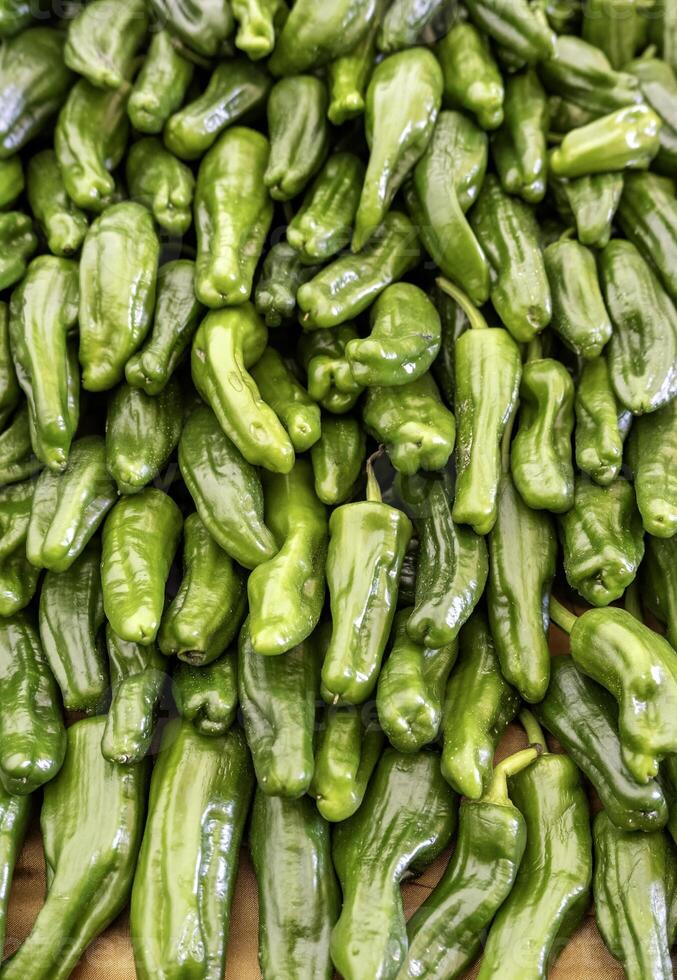 Small green peppers photo