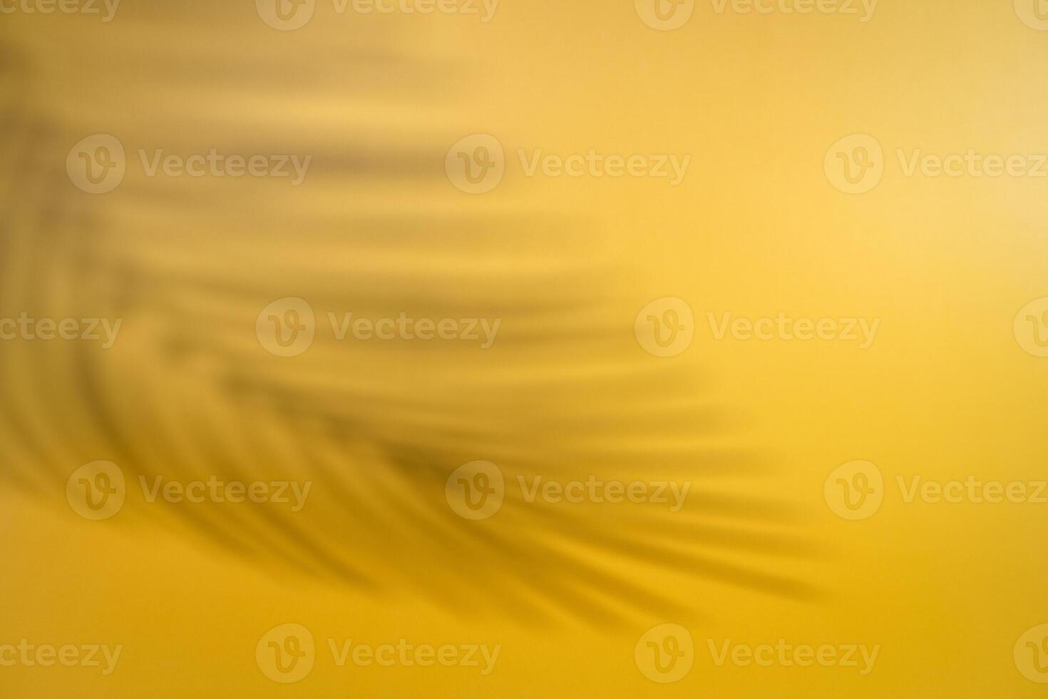 Abstract beach with paper sand palm shadow photo