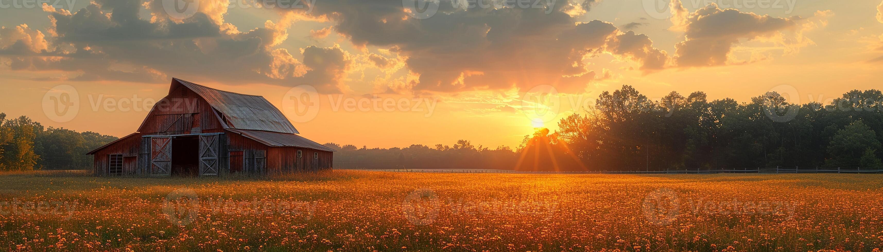 AI Generated Rustic barn in a golden field at sunset photo