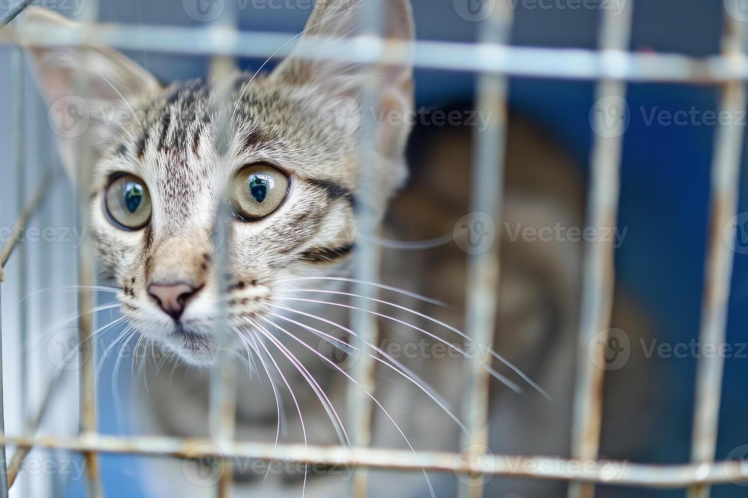 AI generated close up Sad cat caught in cage. Generative AI photo