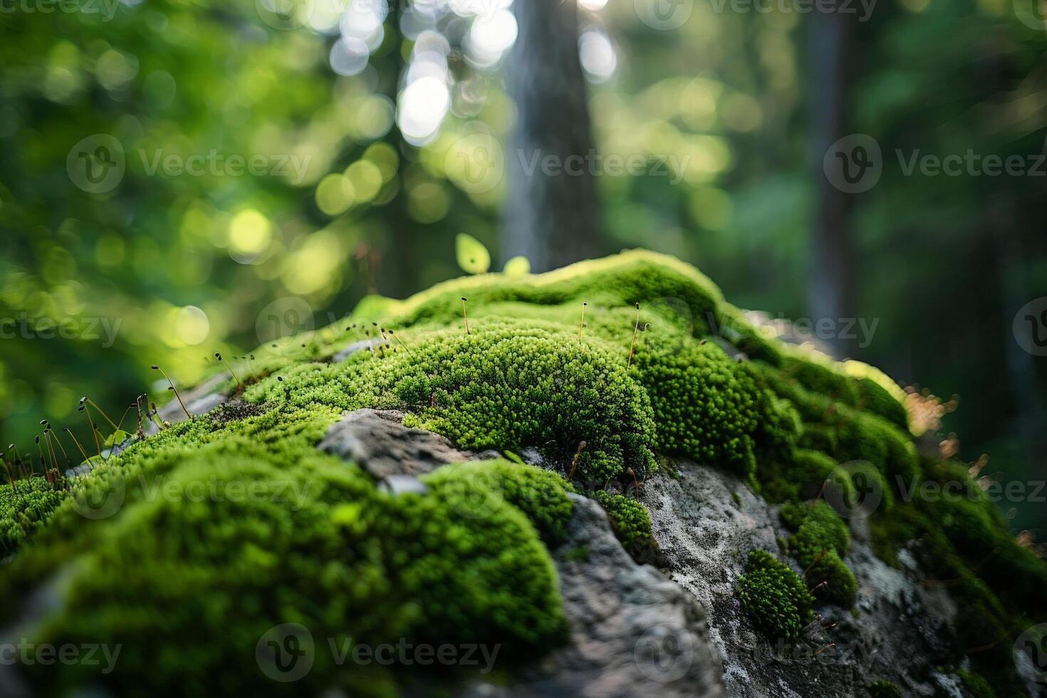 AI generated a moss covered rock with small plants growing out of it. generative ai photo