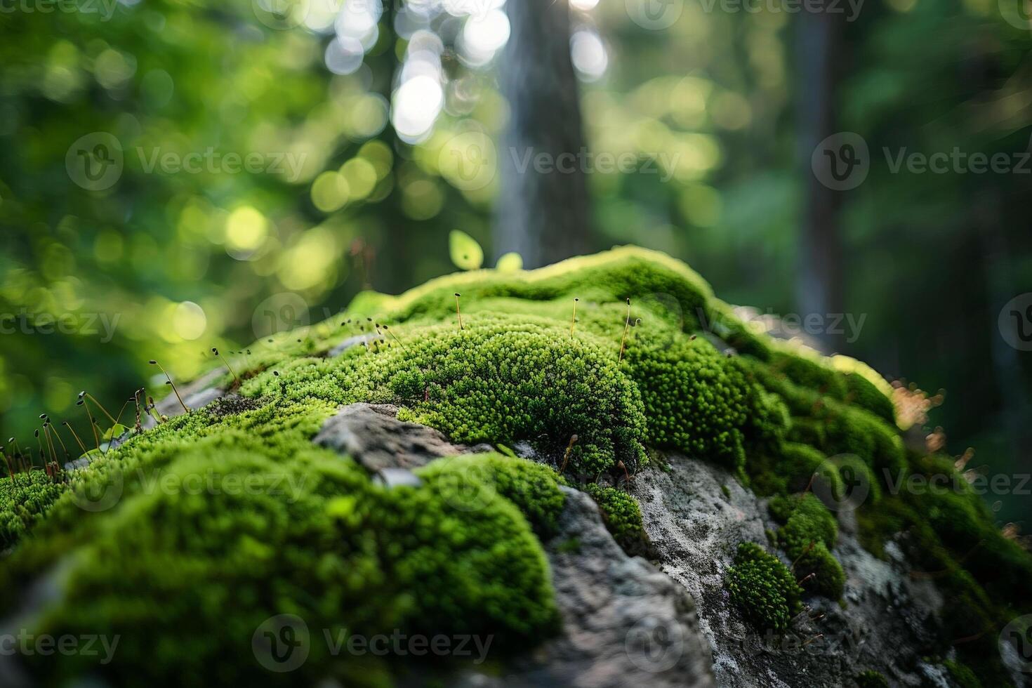 ai generado un musgo cubierto rock con pequeño plantas creciente fuera de él. generativo ai foto