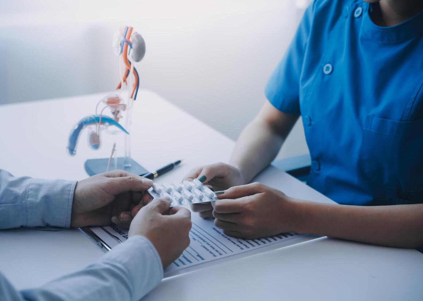 Doctor uses anatomical model to explain male urinary system. Model labeled with parts, doctor points and explains how they work together for urinary function, ensuring patient comprehension. photo