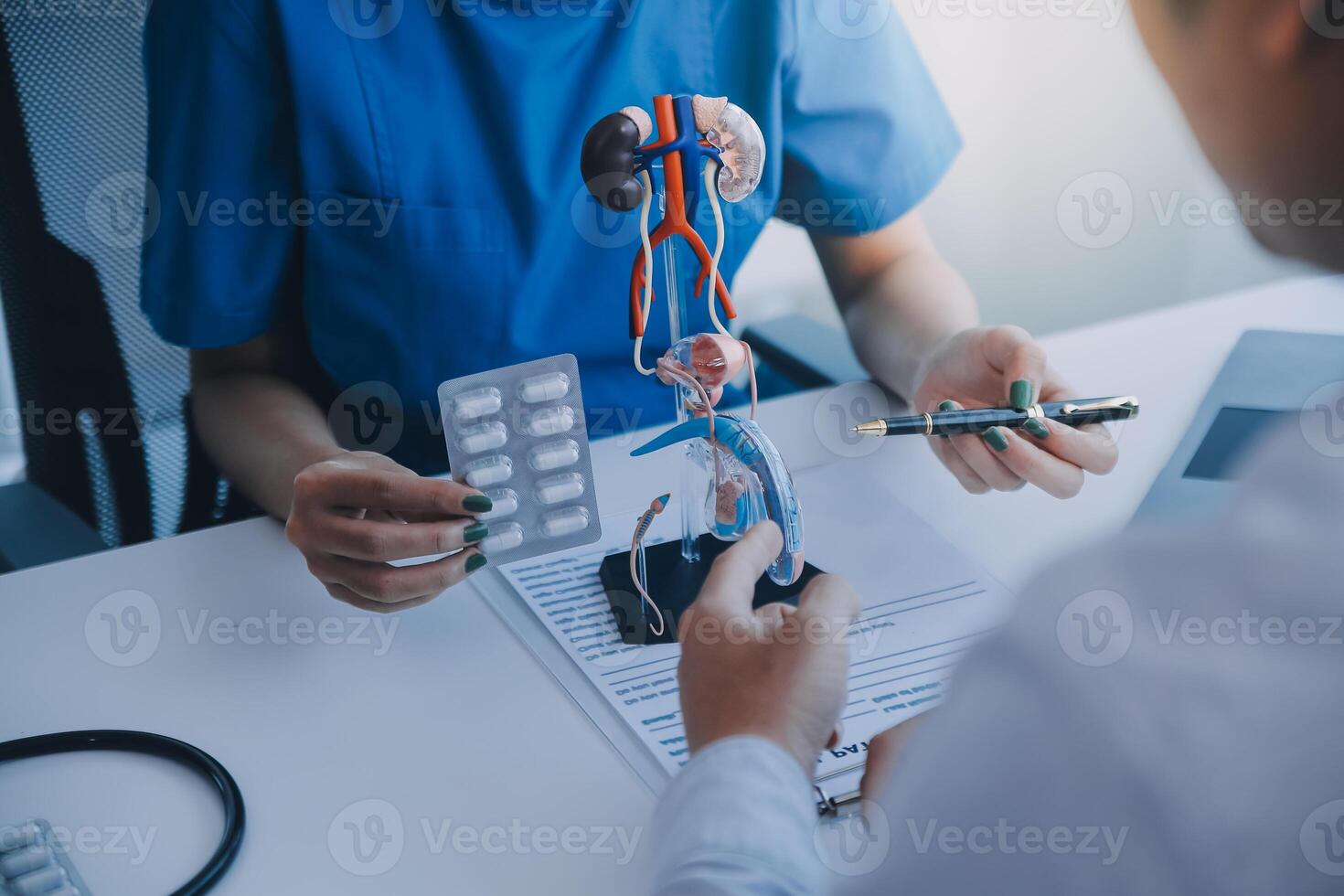 Doctor uses anatomical model to explain male urinary system. Model labeled with parts, doctor points and explains how they work together for urinary function, ensuring patient comprehension. photo