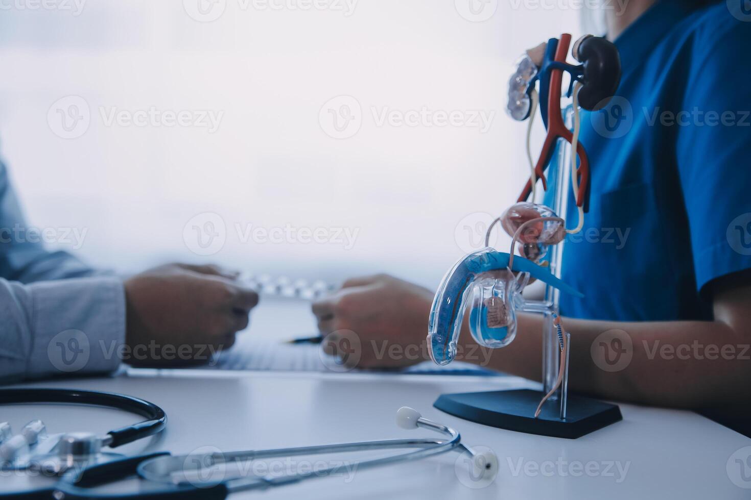 Doctor uses anatomical model to explain male urinary system. Model labeled with parts, doctor points and explains how they work together for urinary function, ensuring patient comprehension. photo