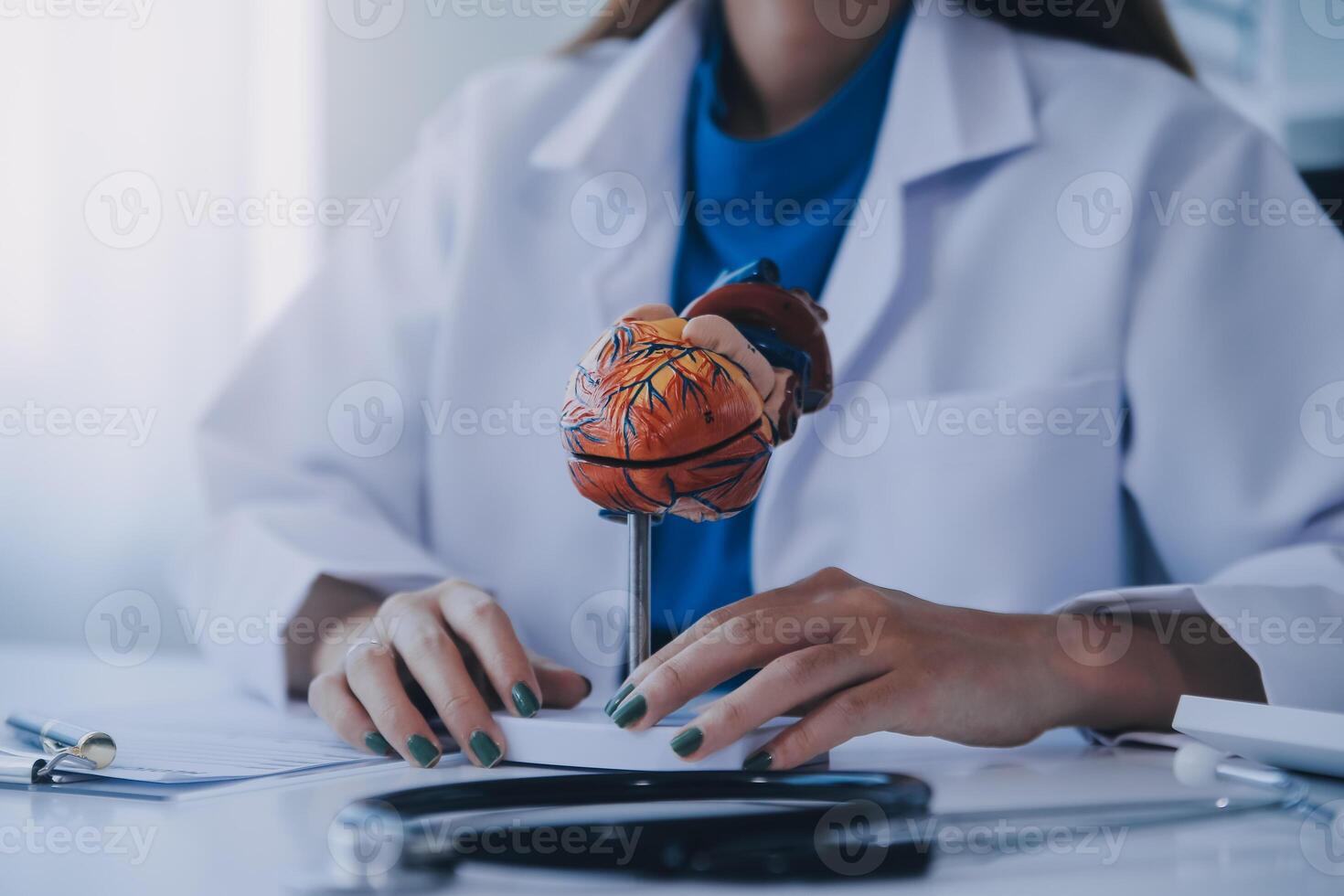 Doctor explaining heart to elderly patient. Doctor explaining the heart model. Doctors pen point to a model of the heart photo