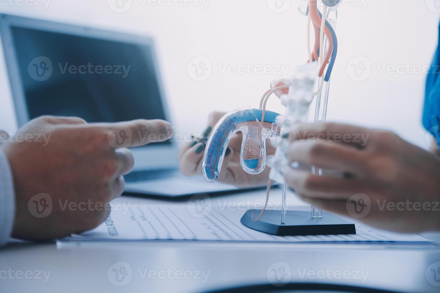 Doctor uses anatomical model to explain male urinary system. Model labeled with parts, doctor points and explains how they work together for urinary function, ensuring patient comprehension. photo