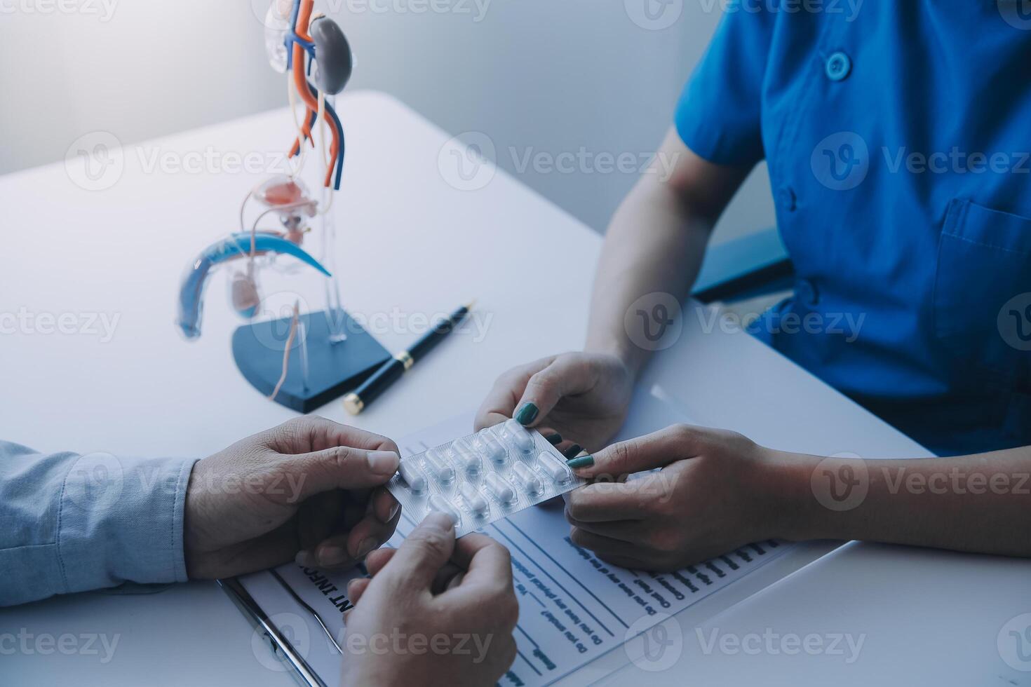 Doctor uses anatomical model to explain male urinary system. Model labeled with parts, doctor points and explains how they work together for urinary function, ensuring patient comprehension. photo