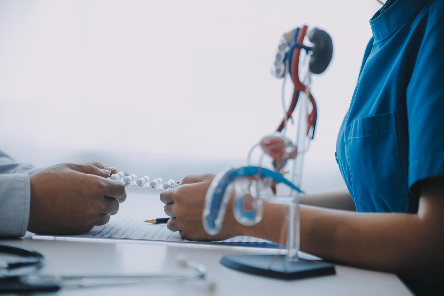 Doctor uses anatomical model to explain male urinary system. Model labeled with parts, doctor points and explains how they work together for urinary function, ensuring patient comprehension. photo