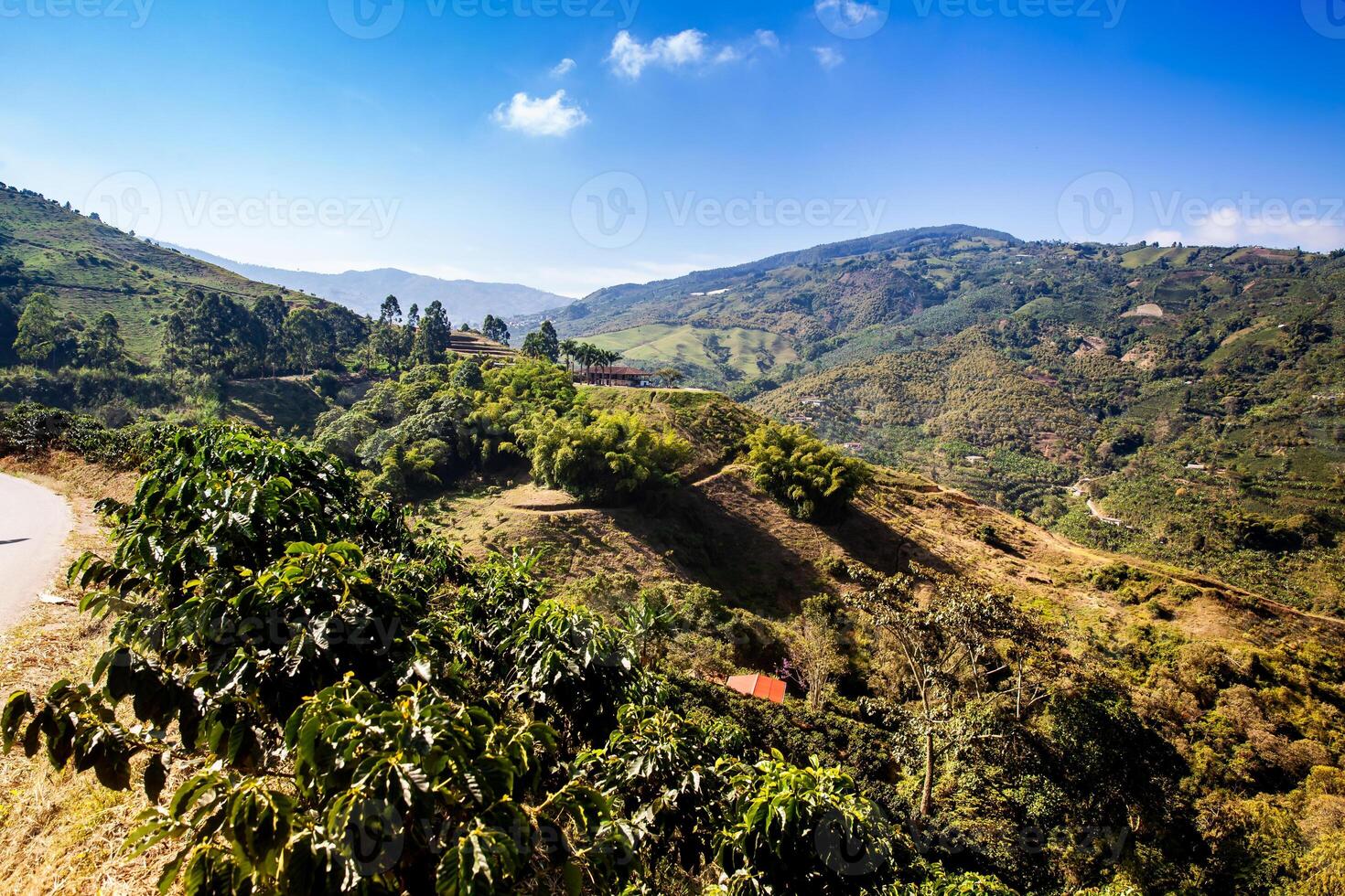 The beautiful Coffee Cultural Landscape of Colombia declared as a World Heritage Site in 2011 photo