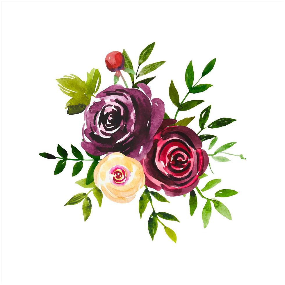 Watercolor floral bouquet, burgundy and blush roses vector