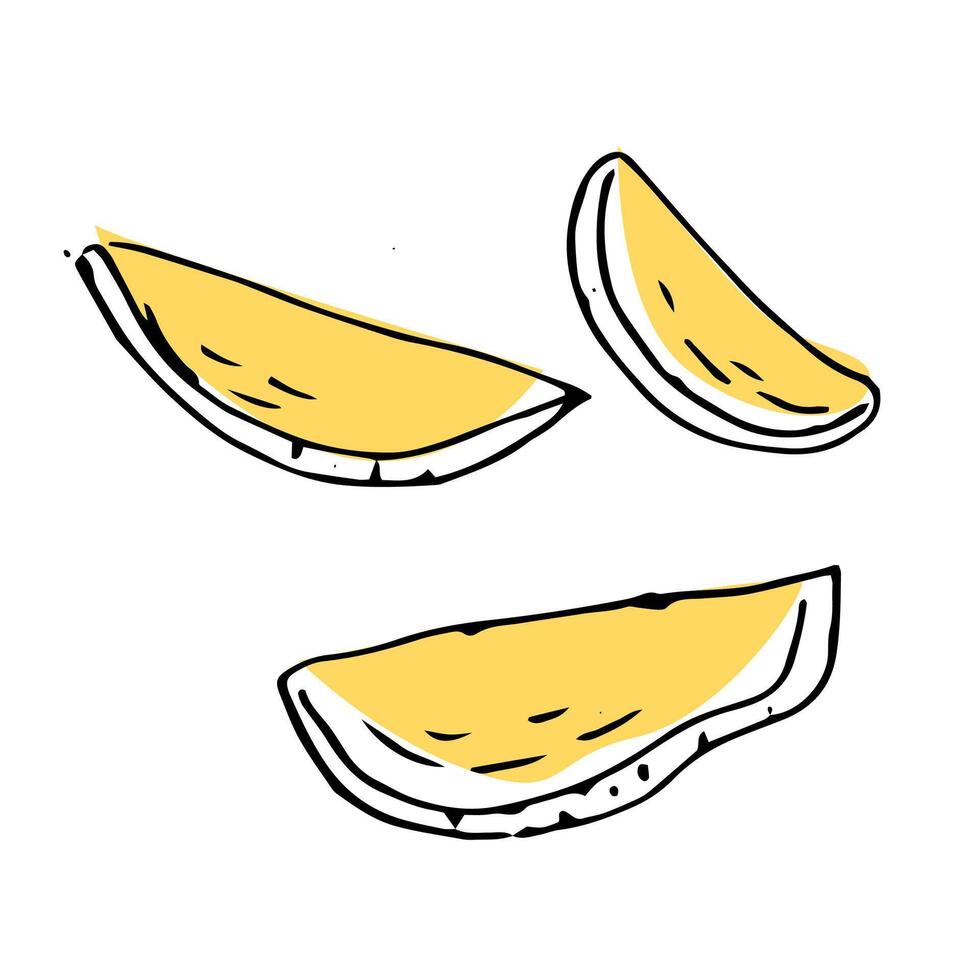 Sliced Hand drawn Mango fruit in sketch art illustration vector