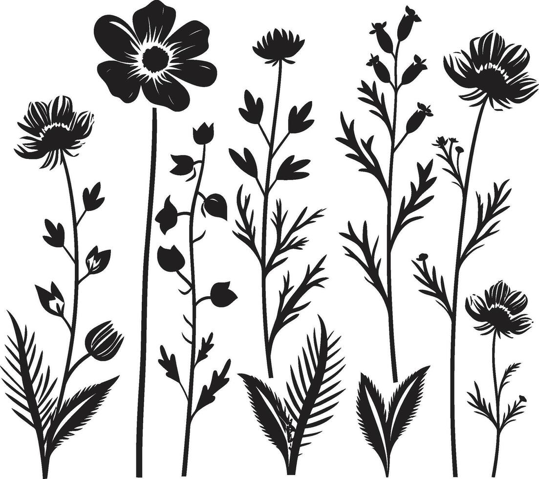 cierne belleza flor silvestre vector negro logo diseño floral armonía pulcro icónico símbolo de flores silvestres en negro