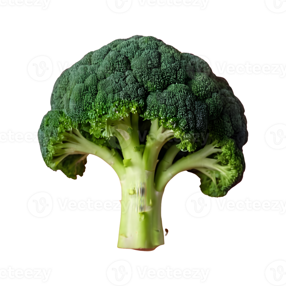 AI generated Transparent background with isolated broccoli isolated png