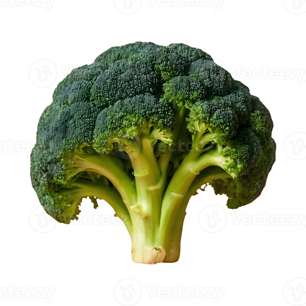 AI generated Transparent background with isolated broccoli isolated png
