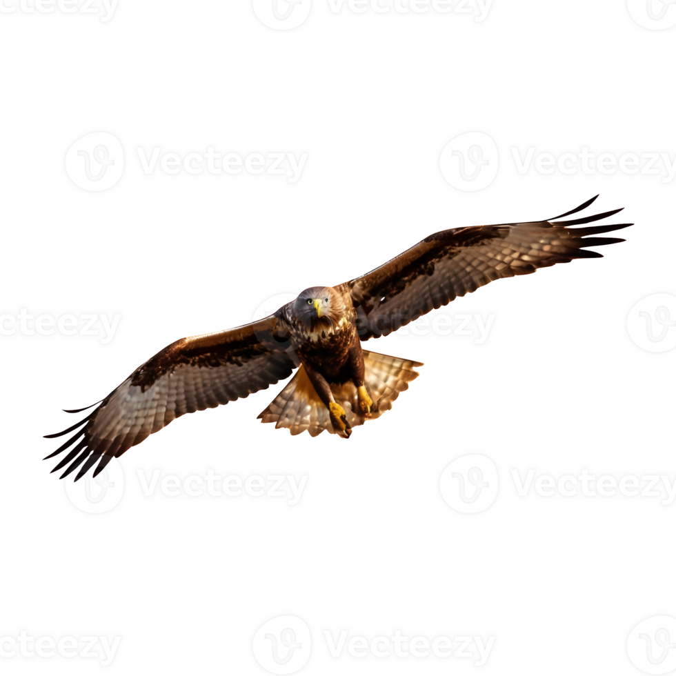 AI generated Buzzard flying isolated on transparent background png
