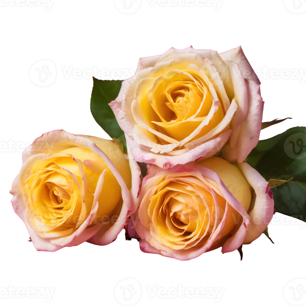 AI generated pink and yellow roses isolated png