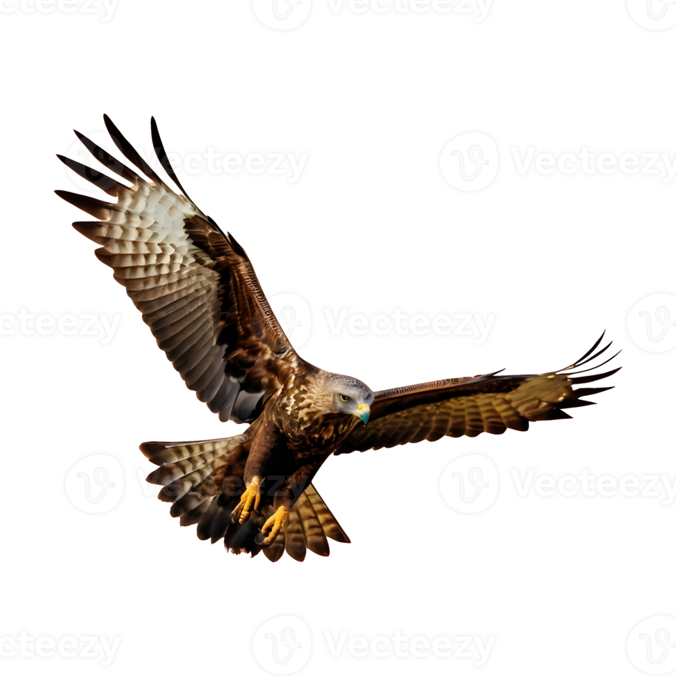 AI generated Buzzard flying isolated on transparent background png