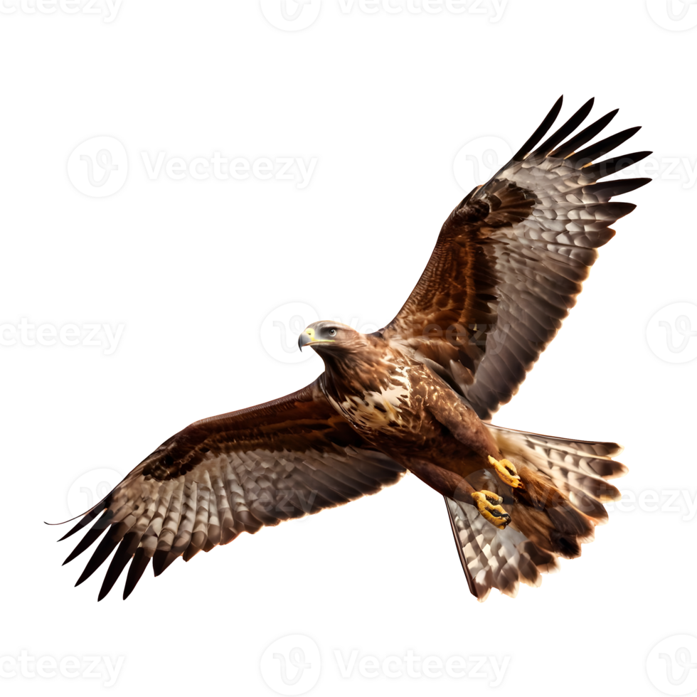 AI generated Buzzard flying isolated on transparent background png