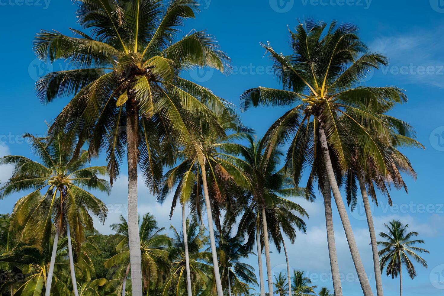 ai generado majestuoso palma arboles influencia en calentar brisa, tropical paraíso foto