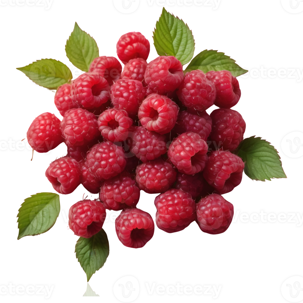 AI generated Bunch of fresh raspberries captured on transparent background juicy summer fruits isolated png