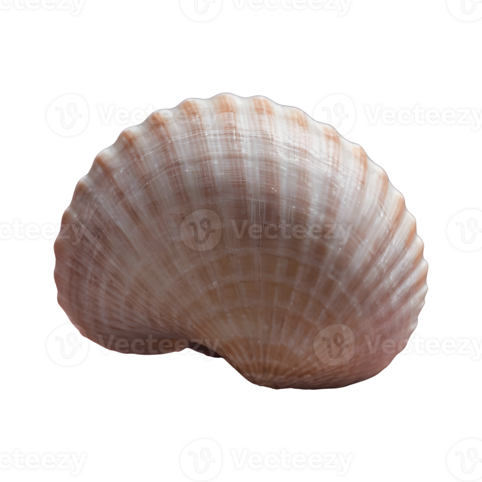AI generated Macro shot of a transparent background showcasing an unusual seashell isolated png