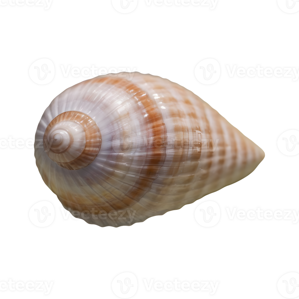 AI generated Macro shot of a transparent background showcasing an unusual seashell isolated png