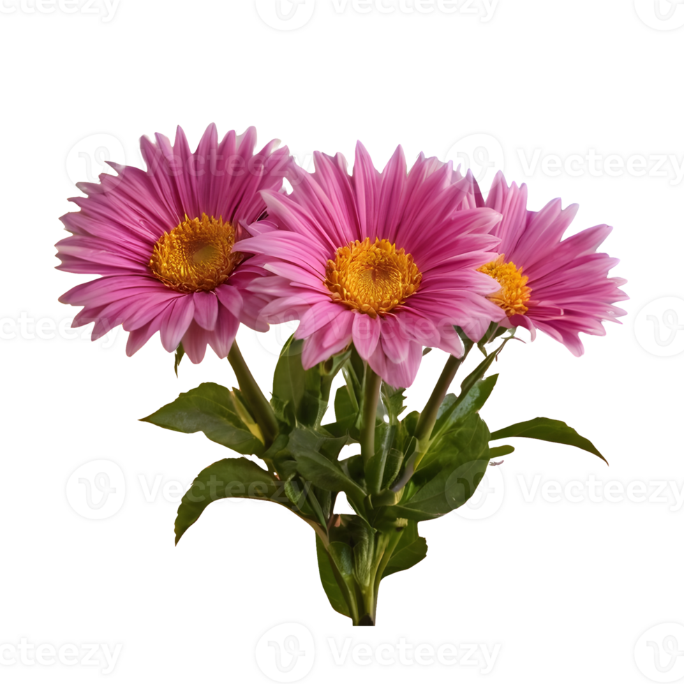 AI generated Stunning natural blooms isolated png
