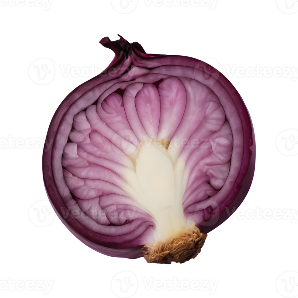 AI generated Top view of isolated red onion slice on transparent background png