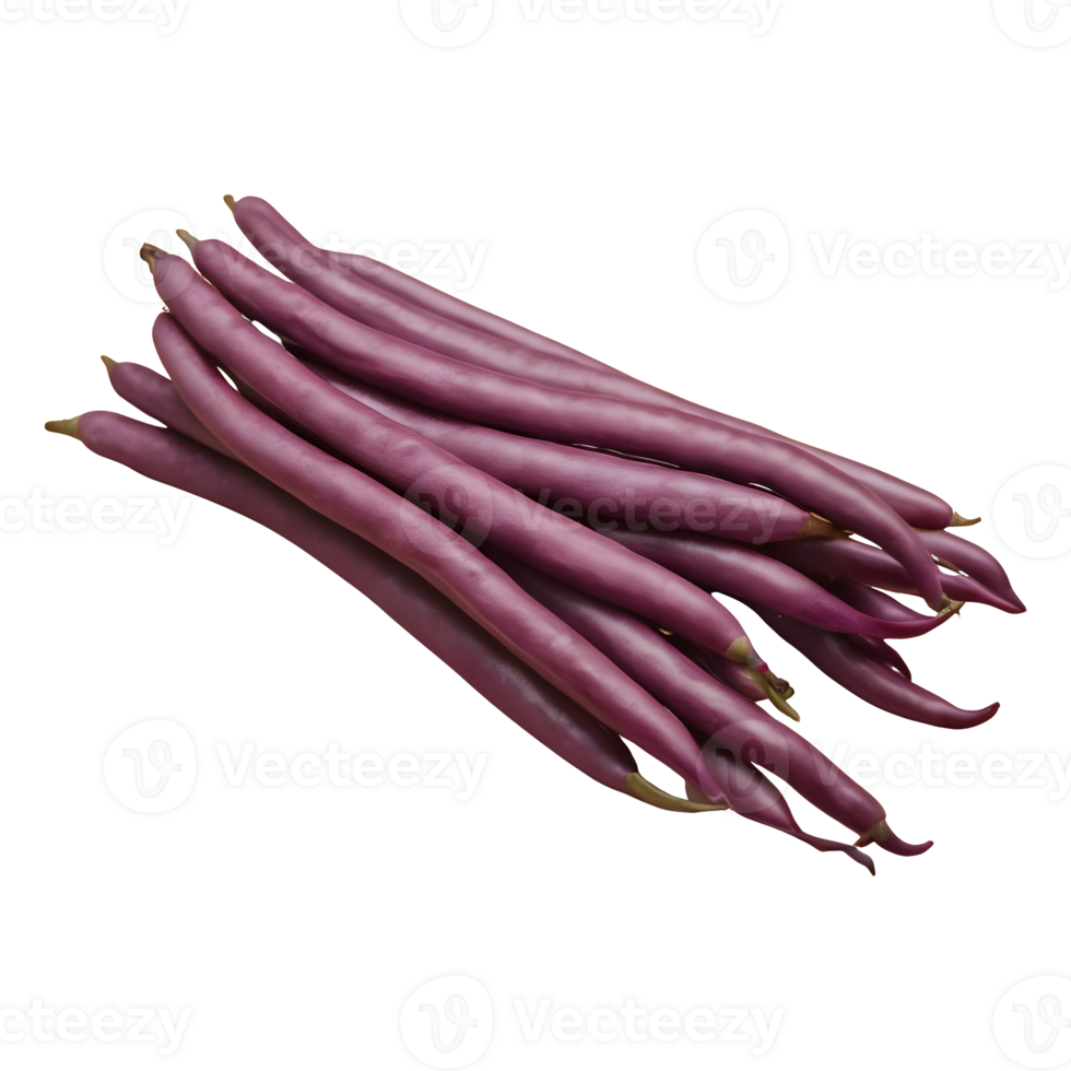 AI generated Purple string beans grouped alone on a transparent background isolated png