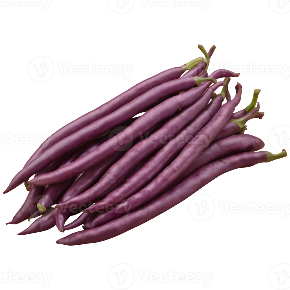 AI generated Purple string beans grouped alone on a transparent background isolated png