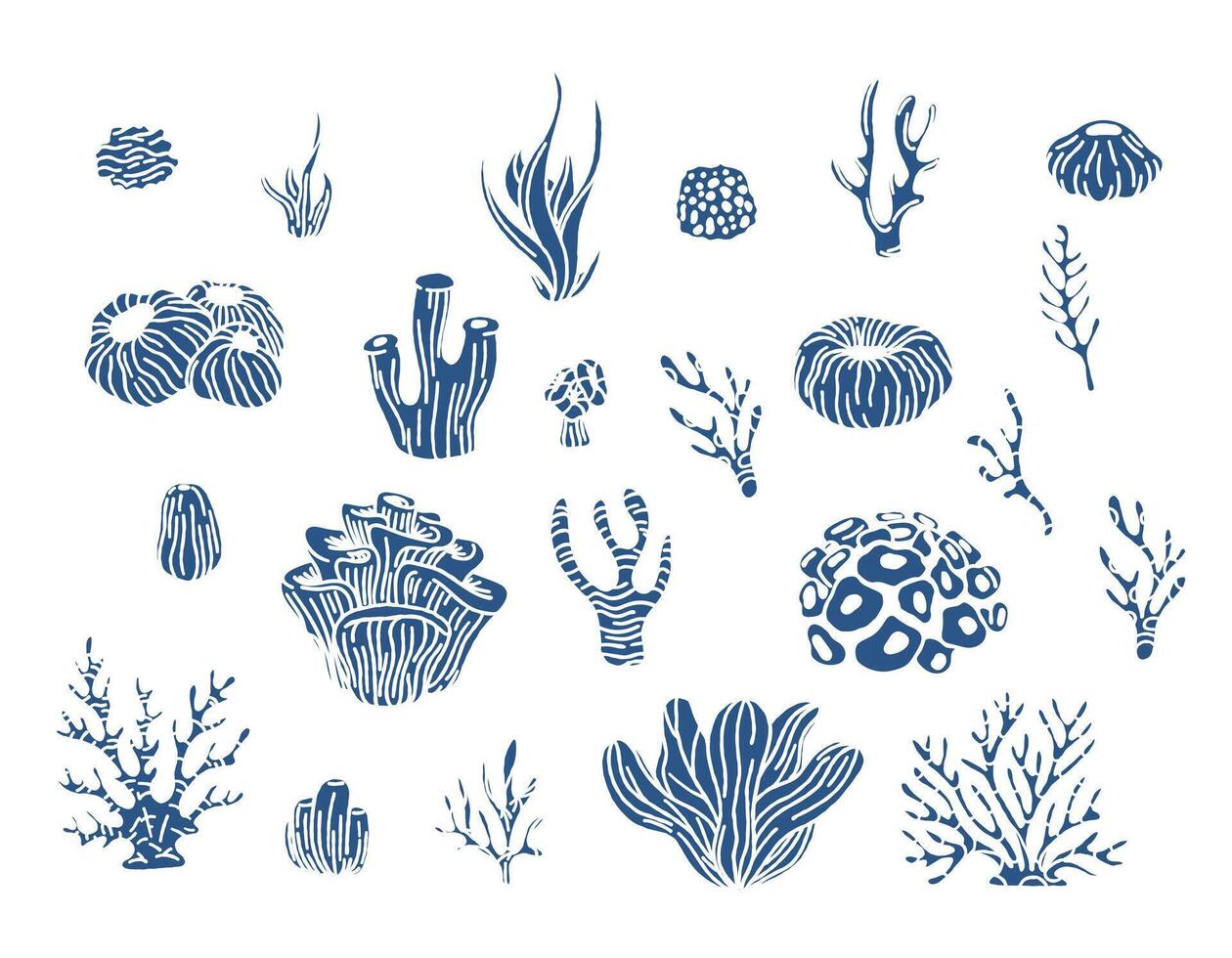 Coral reef and algae underwater plants vector. Aquarium, ocean and underwater algae, water life isolated on white background. Coral doodle set vector