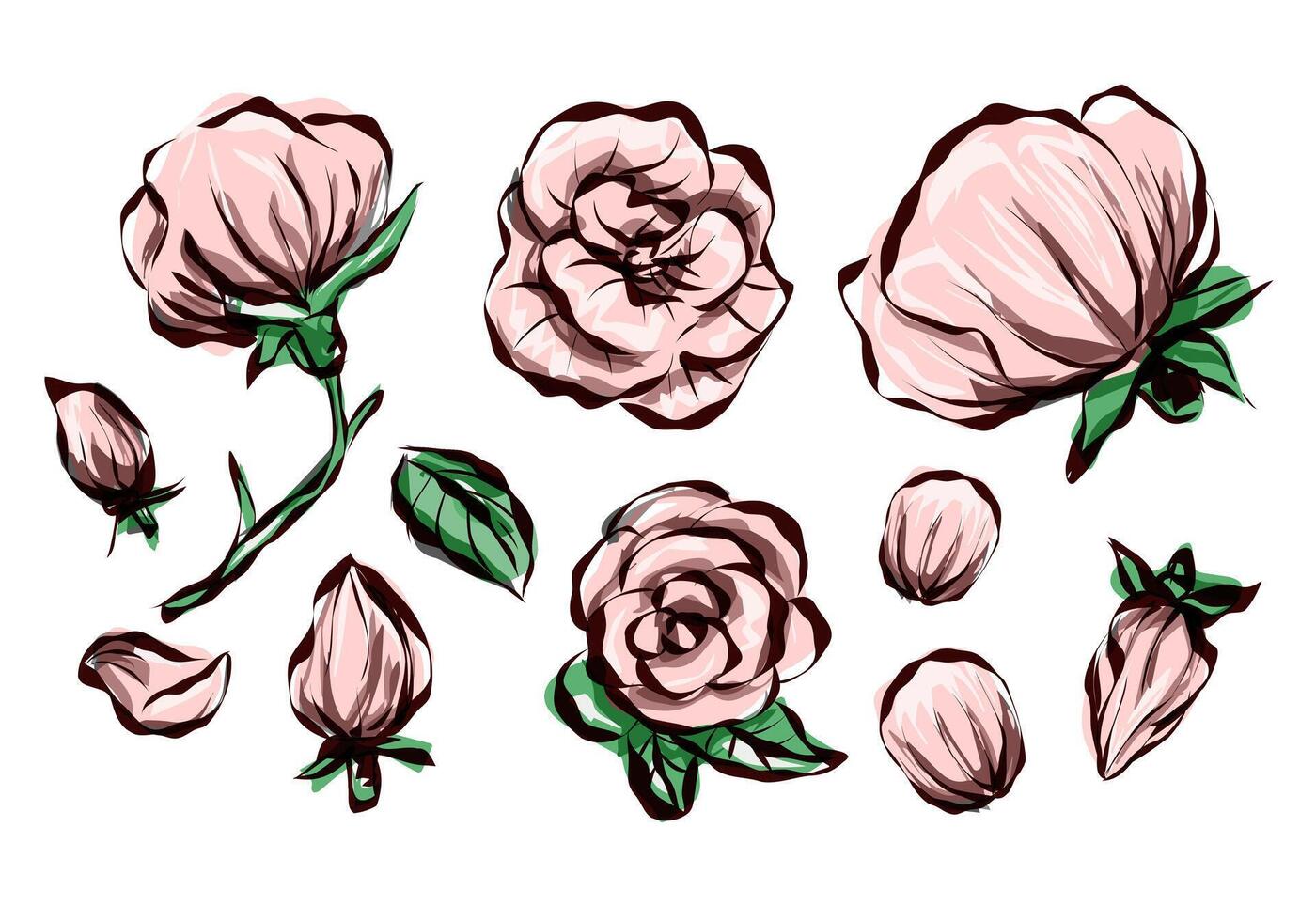 Vintage rose flowers on white background. Floral collection of cartoon vector detailed hand drawn roses. Vector illustration.