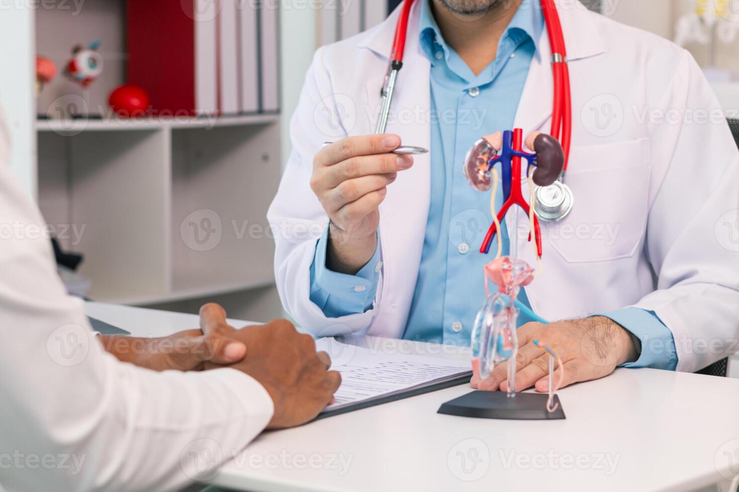 Doctors are counseling prostate cancer patients and using model of the penis to provide an example for prostate cancer patients about future symptoms and treatments. Prostate cancer treatment concepts photo