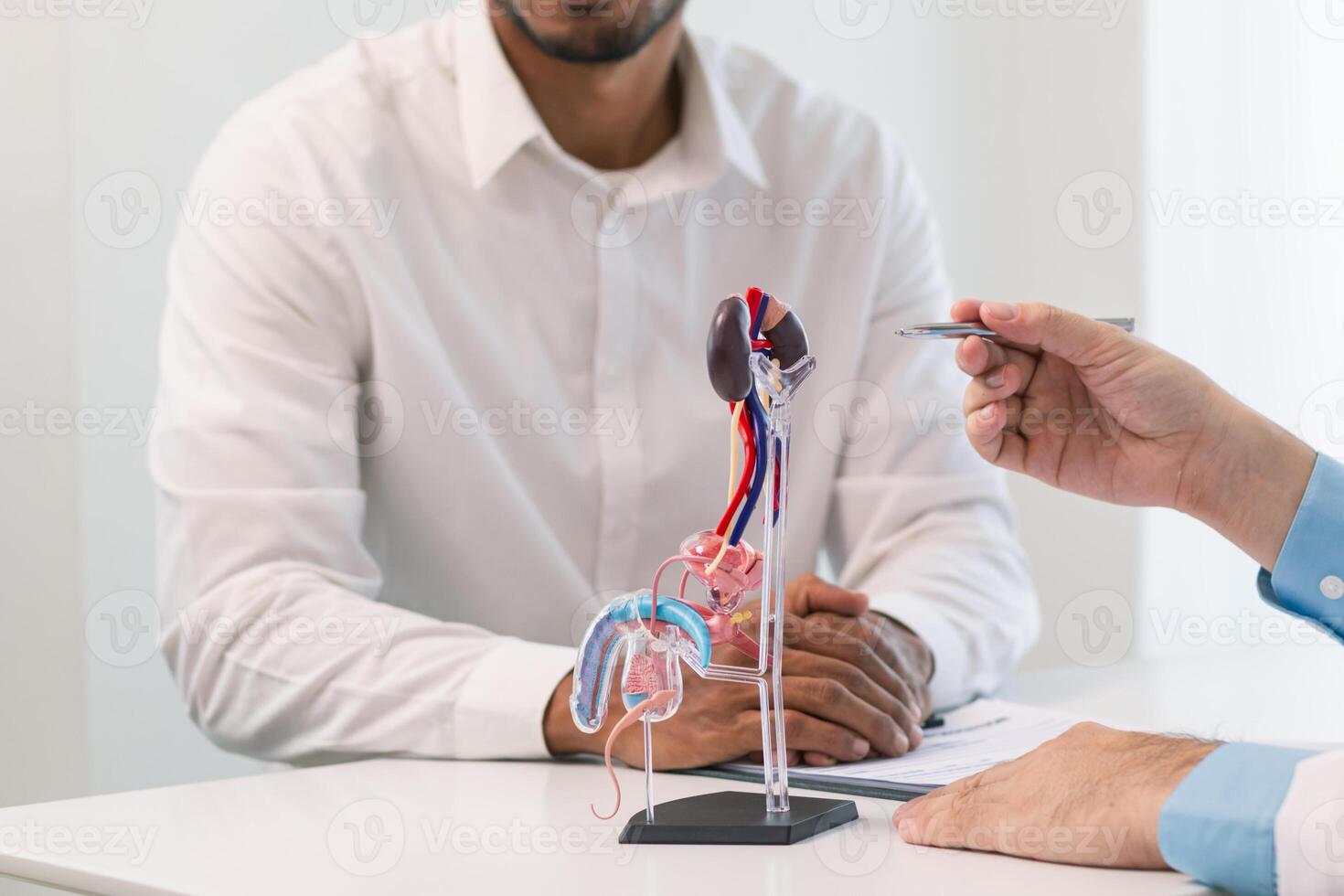 Doctors are counseling prostate cancer patients and using model of the penis to provide an example for prostate cancer patients about future symptoms and treatments. Prostate cancer treatment concepts photo