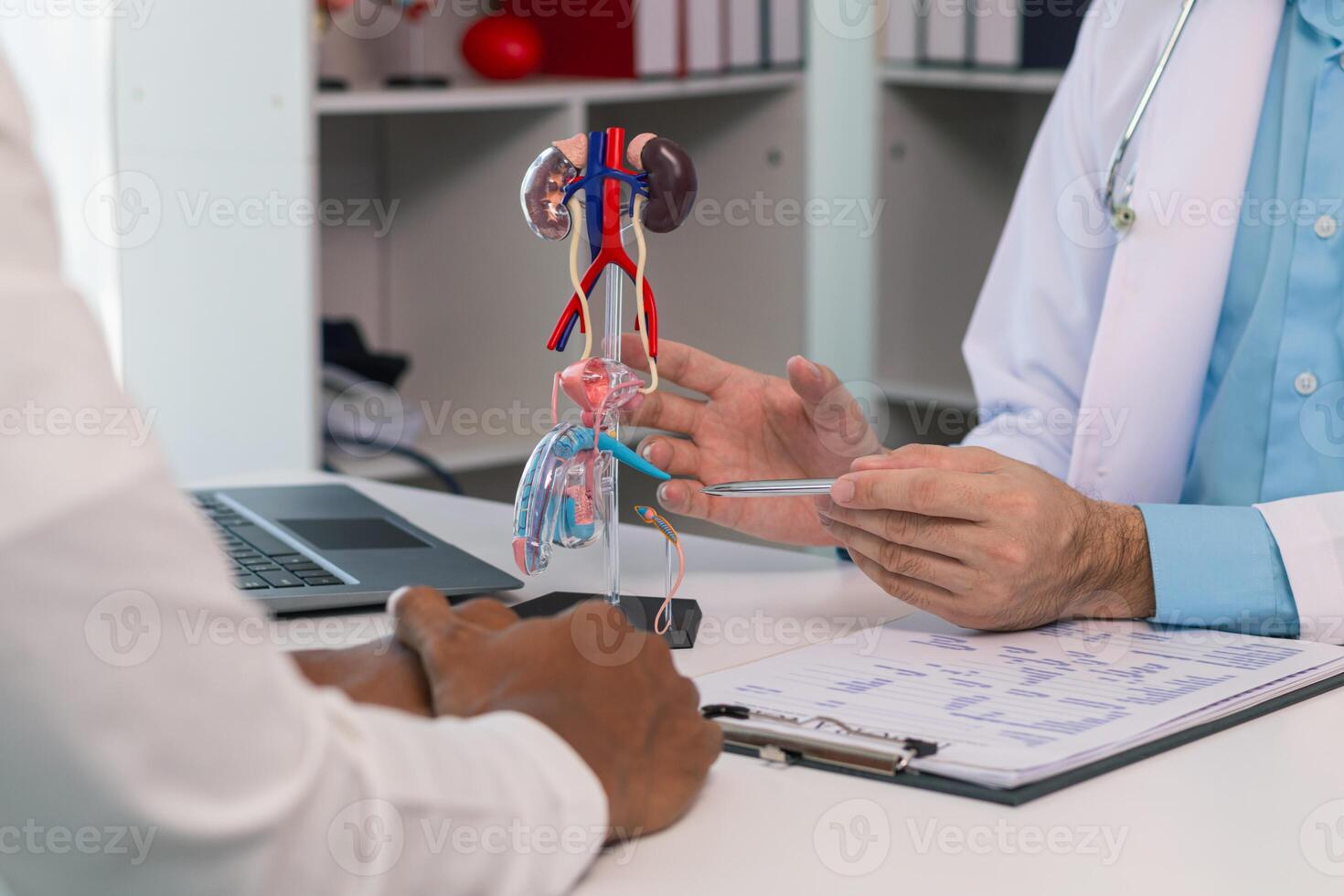 Doctors are counseling prostate cancer patients and using model of the penis to provide an example for prostate cancer patients about future symptoms and treatments. Prostate cancer treatment concepts photo