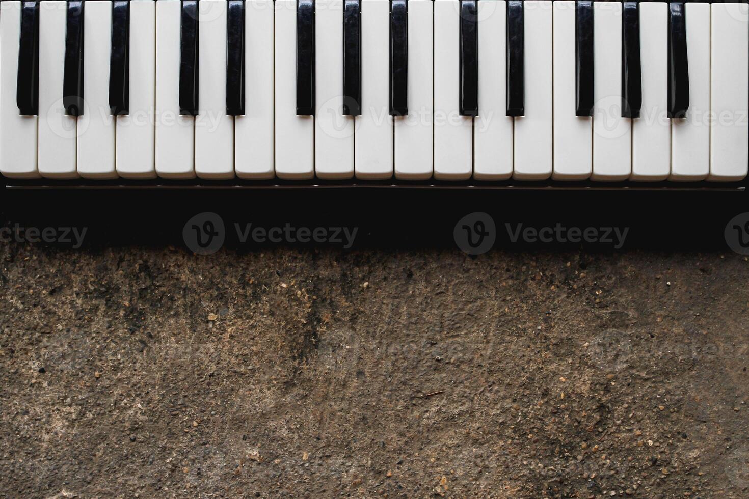 The small piano keys were placed on the floor as the piano keys of young musicians who were prepared to practice for a school performance. photo