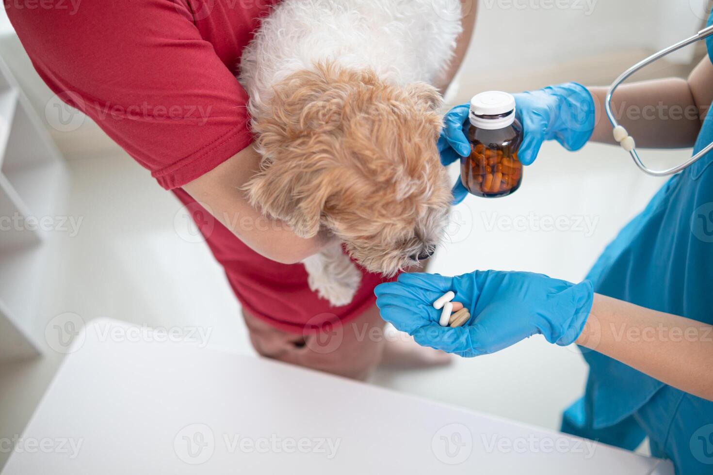 veterinarian recommends tonics dog owner help nourish body after annual health examination search for diseases may occur with pets. Annual health examination concepts for pets and tonics veterinarians photo