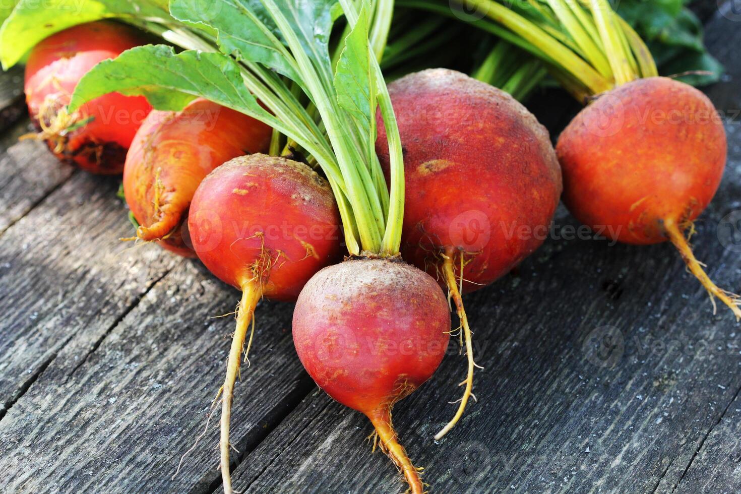 Raw organic golden beets on wooden background photo